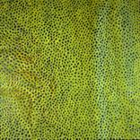 Collection BRAT SUMMER