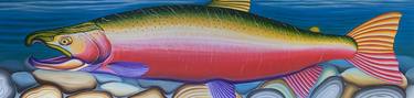 Original Fine Art Fish Paintings by Jon Howlett