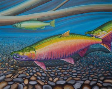Original Fish Paintings by Jon Howlett
