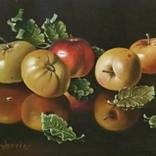 Apples by Dusan Vukovic