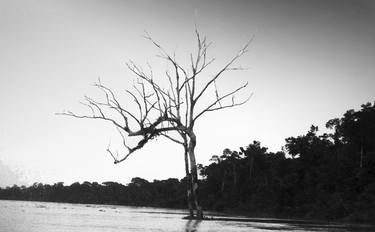Original Black & White Nature Photography by Muyiwa Osifuye
