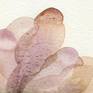 Detail 4
