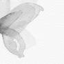 Black And White Nature 05-b