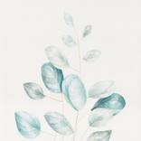Calm Nature 3 by Ebru Acar Taralp