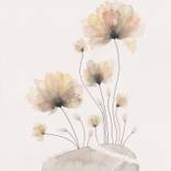 Moss Flowers Reviving on Stone 1 by Ebru Acar Taralp
