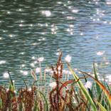 Water Light by Patty Neal
