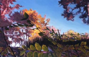 Original Nature Paintings by Patty Neal