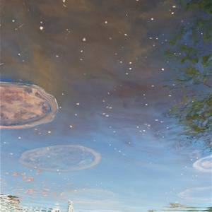 Collection Walk on The Wild Side