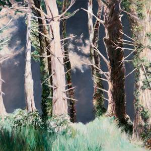 Collection Into the Woods