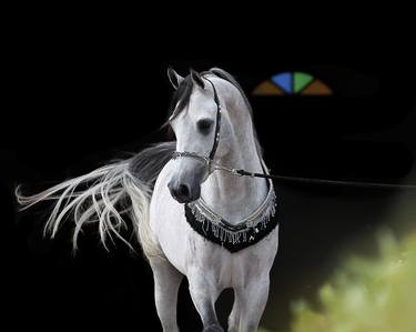 Arabian Stallion - Limited Edition of 1 thumb