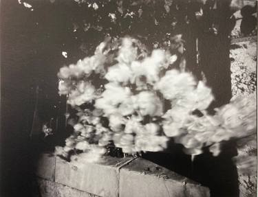 Original Romanticism Time Photography by Jeremy Blank
