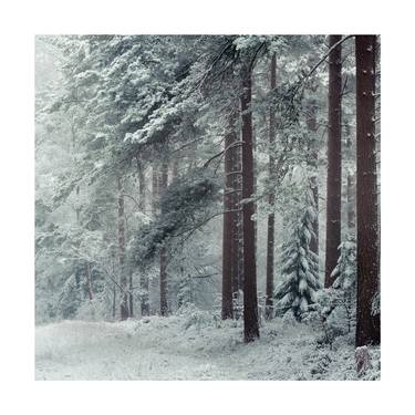 Original Modern Landscape Photography by David Baker