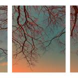 Last of March by David Baker