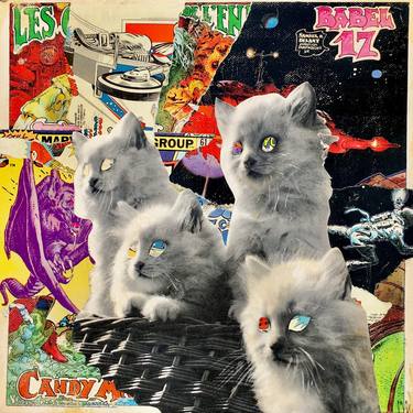 Original Cats Collage by Marian Williams