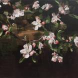 apple blossom dark by Mark Crenshaw