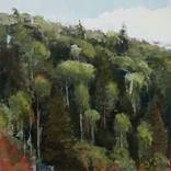 spring mountain hillside by Mark Crenshaw