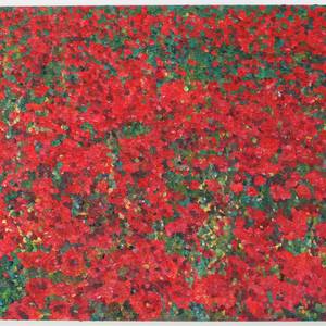 Poppies (II)