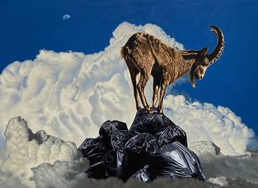 Original Contemporary Animal Paintings by Stephen A Hall