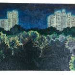 NYC Central Park by Liz Demaree