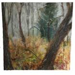 Woods in the South Mountain Rez by Liz Demaree
