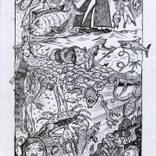 Il carnevale del mare by Massimo Casalini