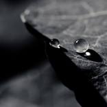 Collection Black and White Photography 