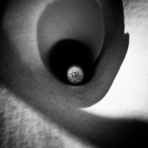 Collection Black and White Photography 