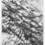 Collection John Approved - Roscoe