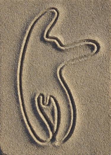 Ammoglyphe 1 thumb