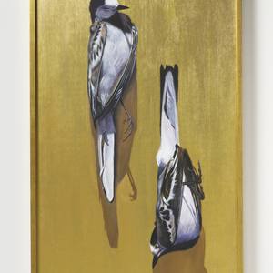 Collection New This Week 10-06-2014