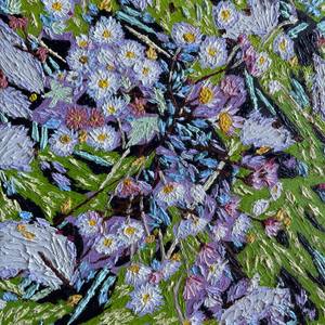 Re-Created Asters XI by Robert S. Lee
