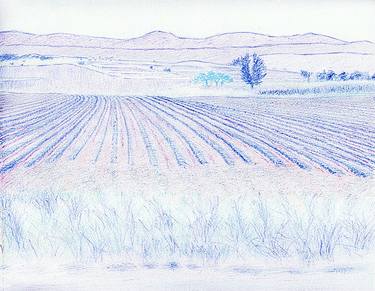 Original Landscape Drawings by Robert Lee