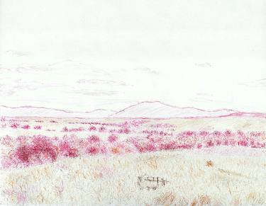 Original Landscape Drawings by Robert Lee