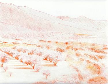 Olive Trees by Robert S. Lee (Sketchbook p. 171) thumb