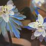 Collection Flower Paintings