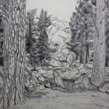 Collection Pen & Ink Drawings