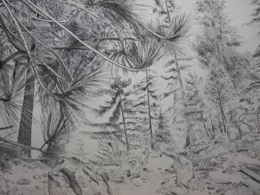 Print of Landscape Drawings by Robert Lee