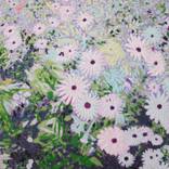 Collection Flower Paintings