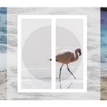 LONELY FLAMINGO by EVELYNE CHEVALLIER