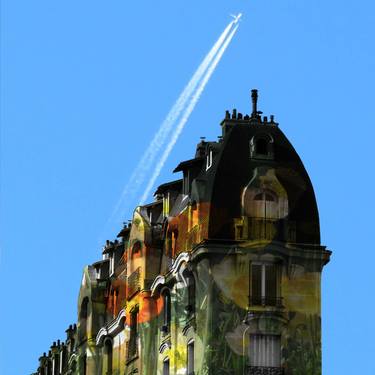 A plane above the flowery house - Limited Edition of 10 thumb