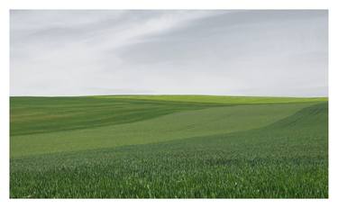 GREEN FIELD IN BURGUNDY - Limited Edition of 10 thumb