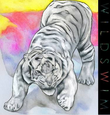 Wild Swim Album Cover Design thumb