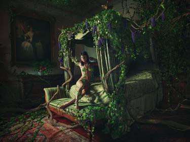 Saatchi Art Artist Miss Aniela; Photography, “GRAPEVINE (LARGE) Limited Edition of 15” #art