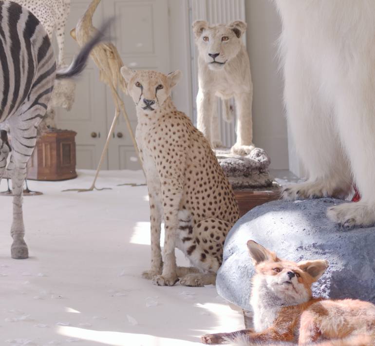 Original Other Fantasy Photography by Miss Aniela