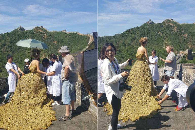 Original Conceptual Landscape Photography by Miss Aniela