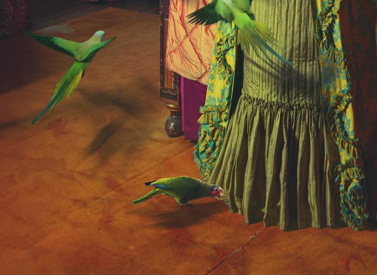 Original Conceptual Fashion Photography by Miss Aniela