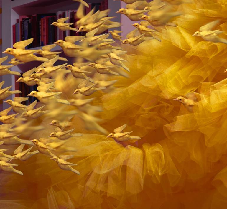 Original Conceptual Fantasy Photography by Miss Aniela