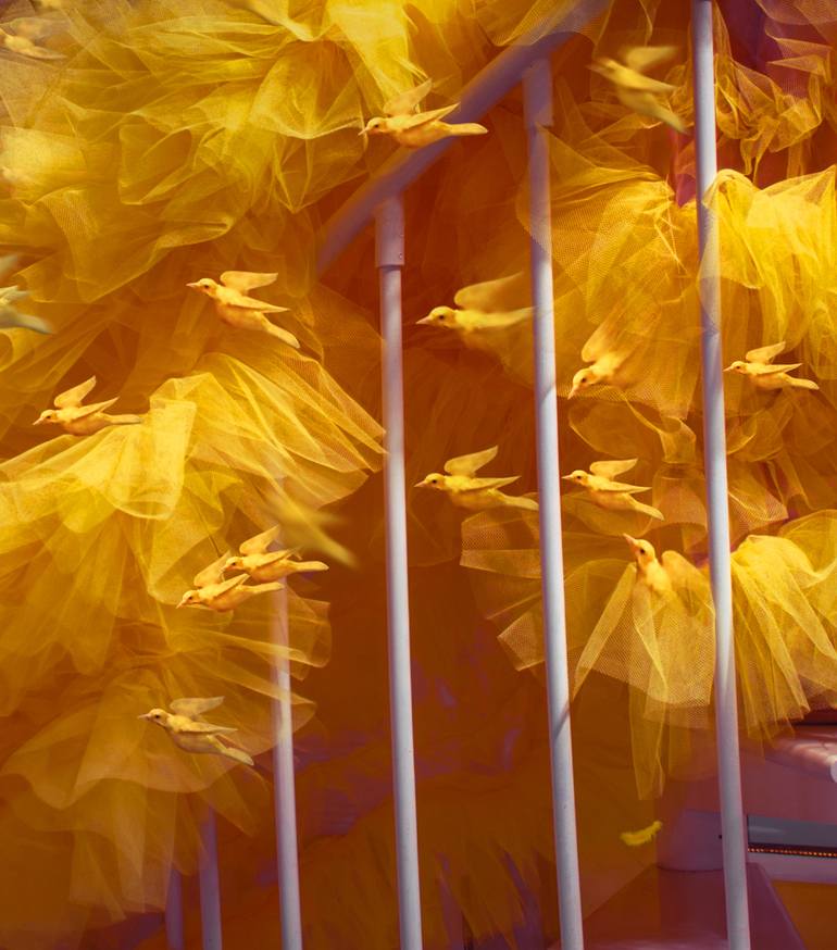 Original Conceptual Fantasy Photography by Miss Aniela