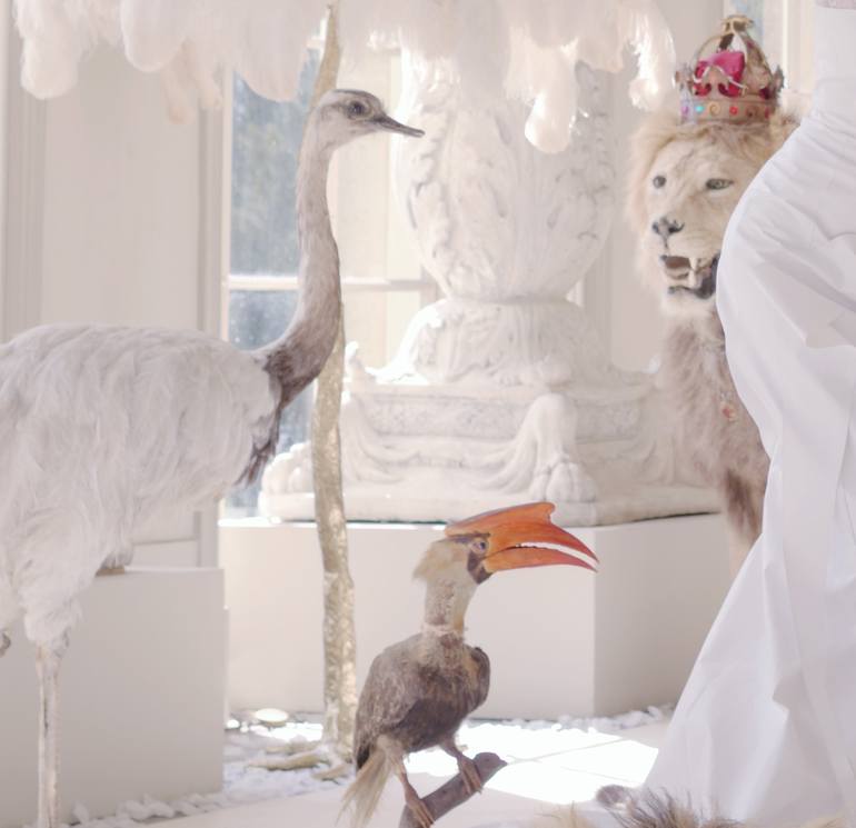 Original Surrealism Fashion Photography by Miss Aniela