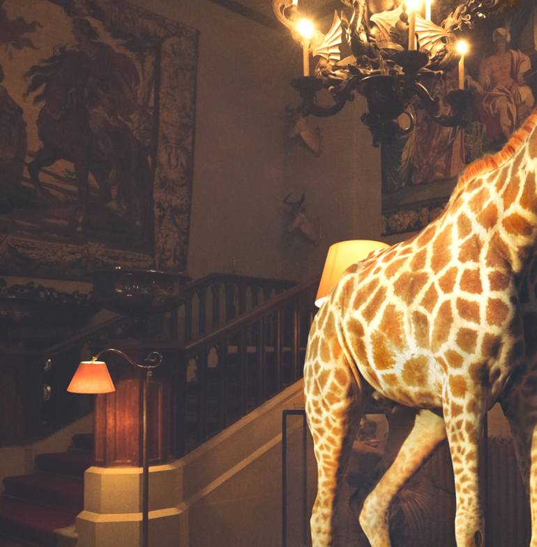 Original Animal Photography by Miss Aniela